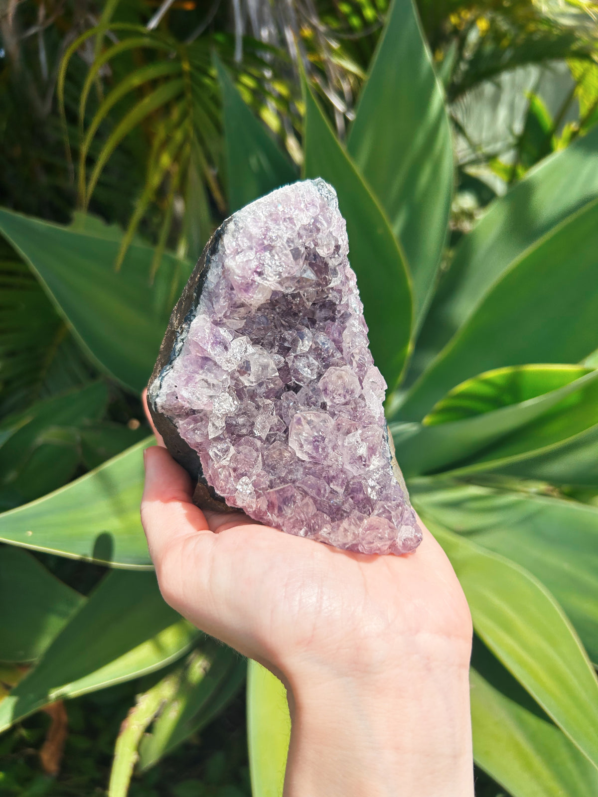 Large Standing Amethyst Cluster