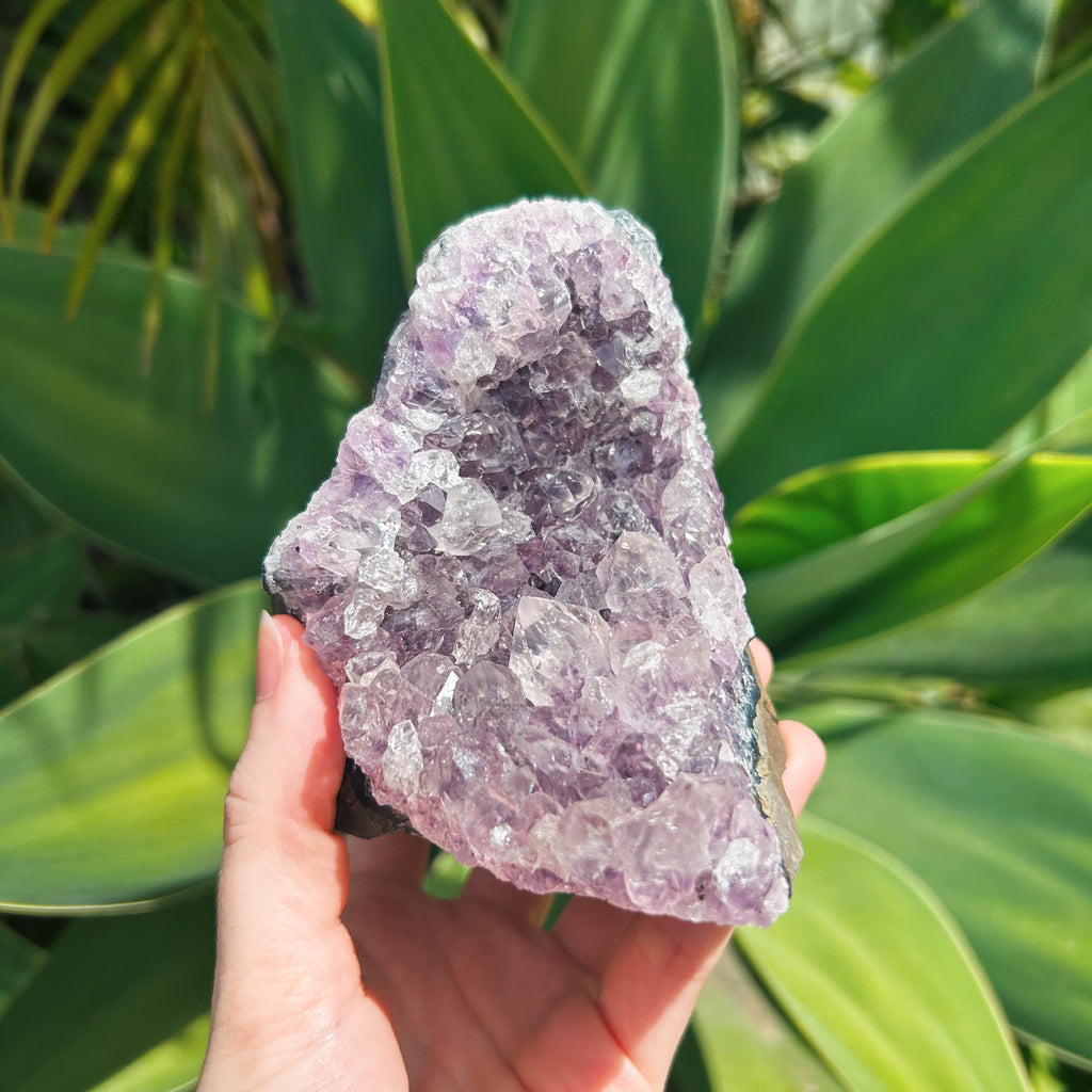 Large Standing Amethyst Cluster