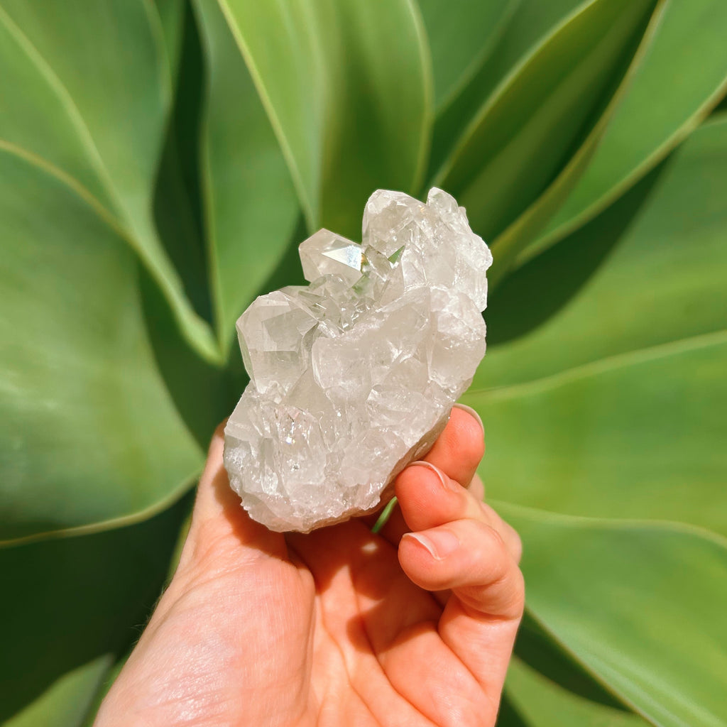 Clear Quartz Cluster