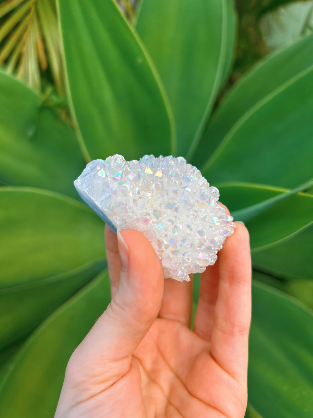 Angel Aura Cluster
