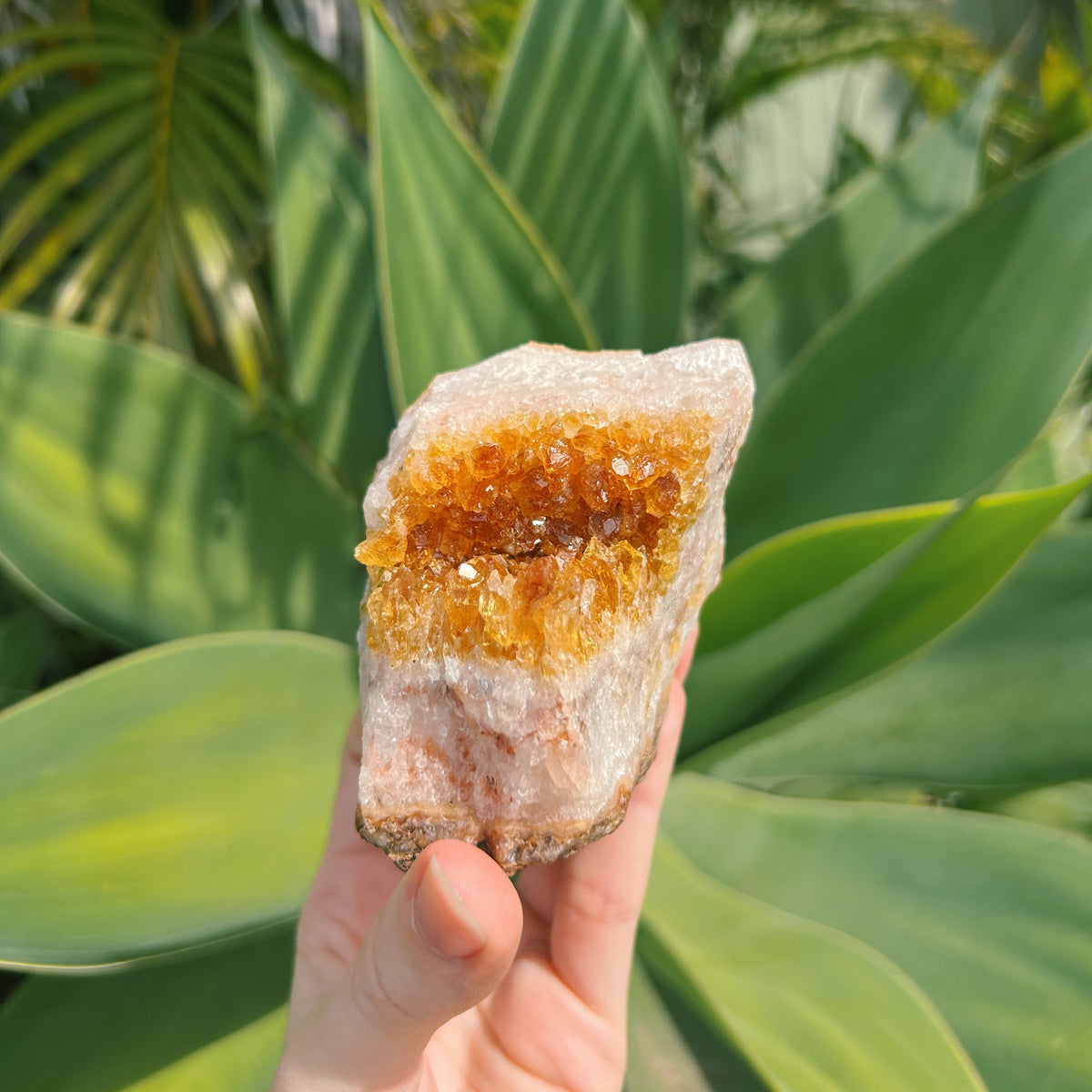 Citrine Cluster