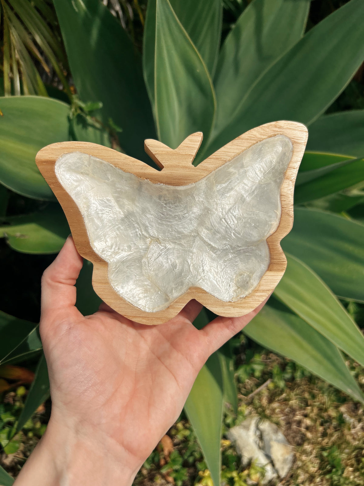 Large Butterfly Trinket Dish