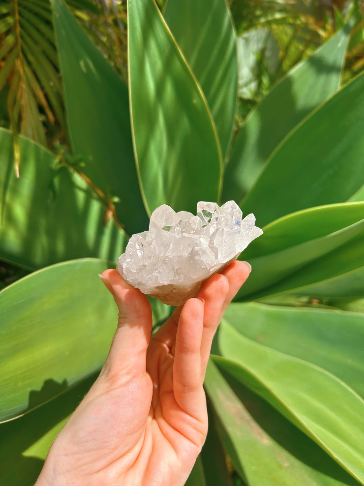 Clear Quartz Cluster