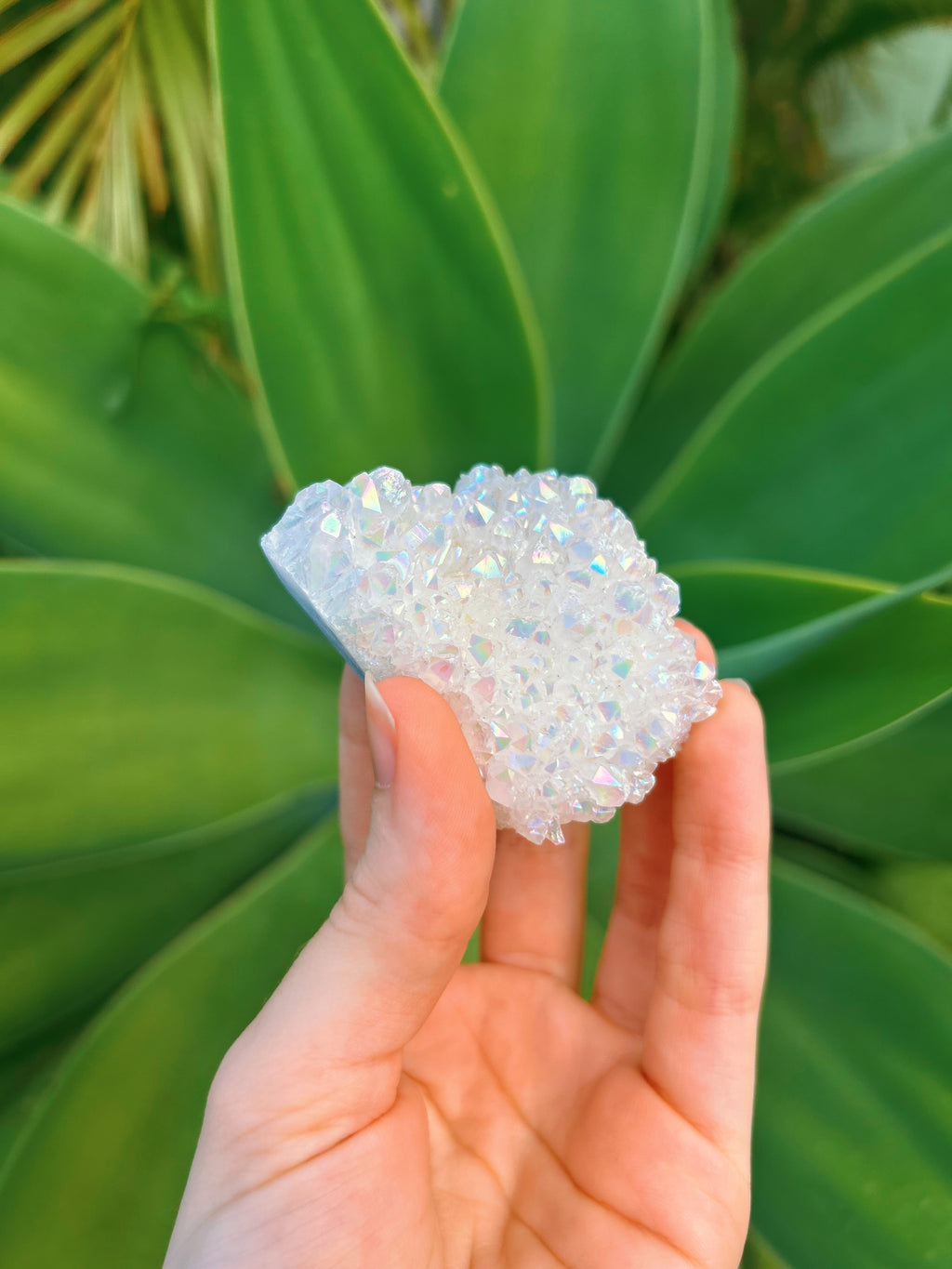 Angel Aura Cluster