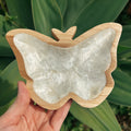Large Butterfly Trinket Dish