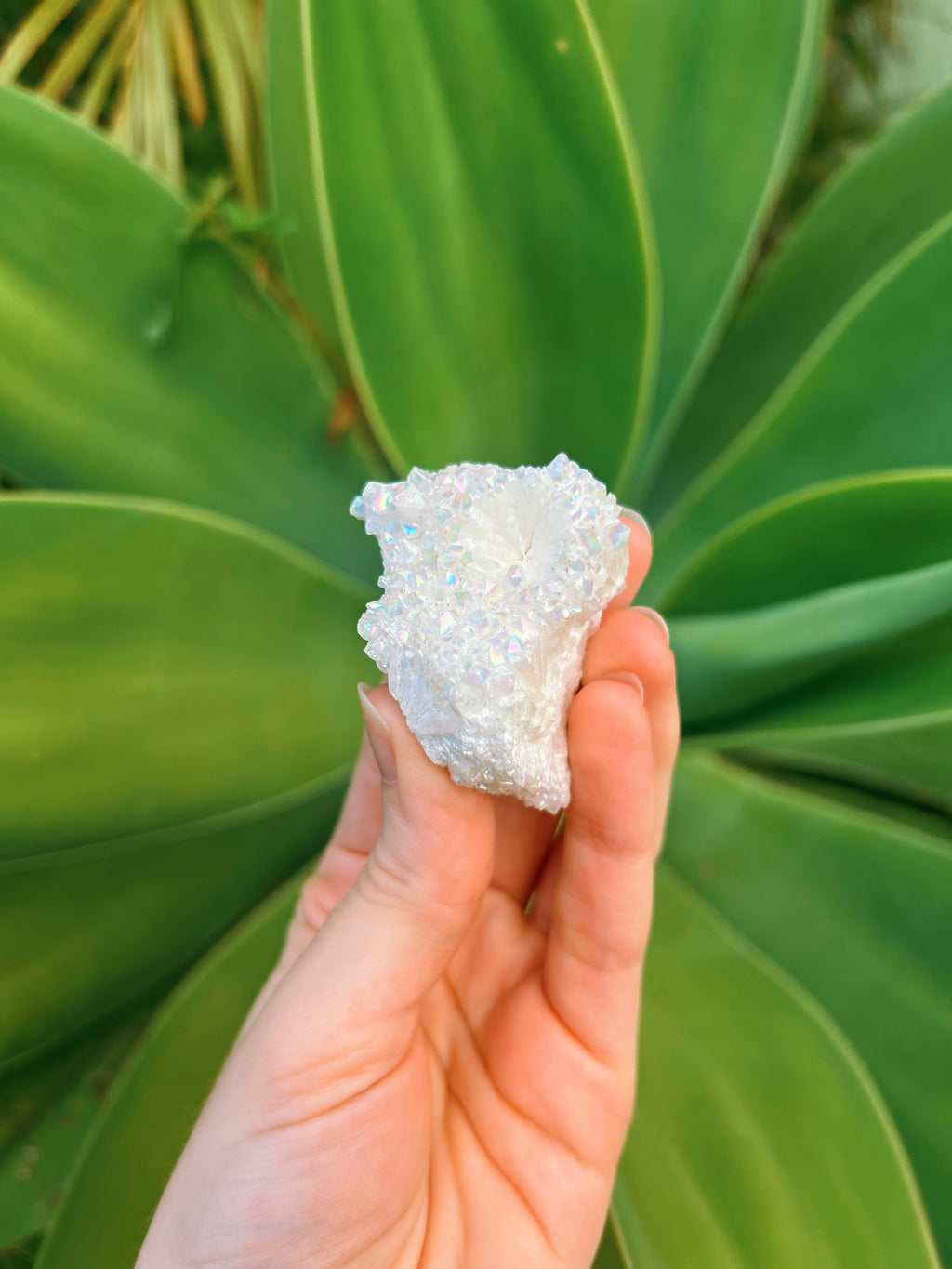 Angel Aura Cluster