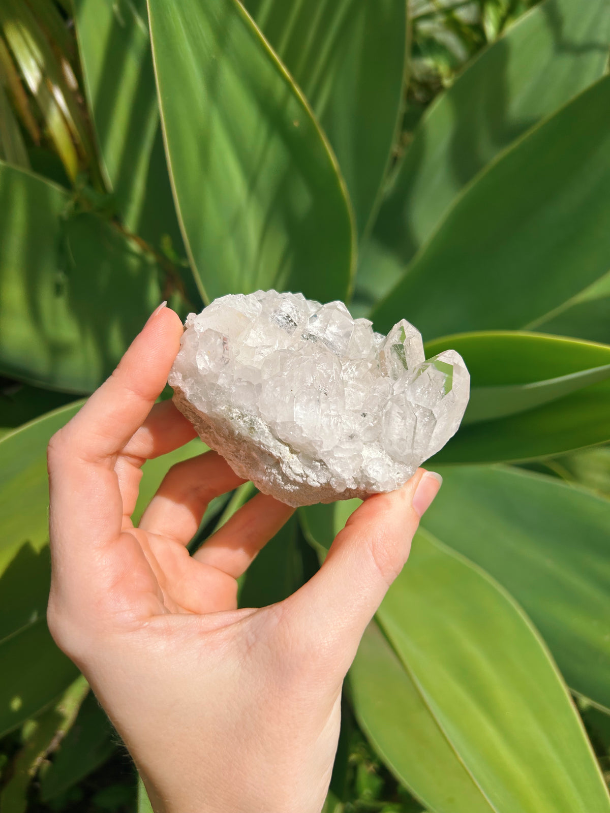 Clear Quartz Cluster