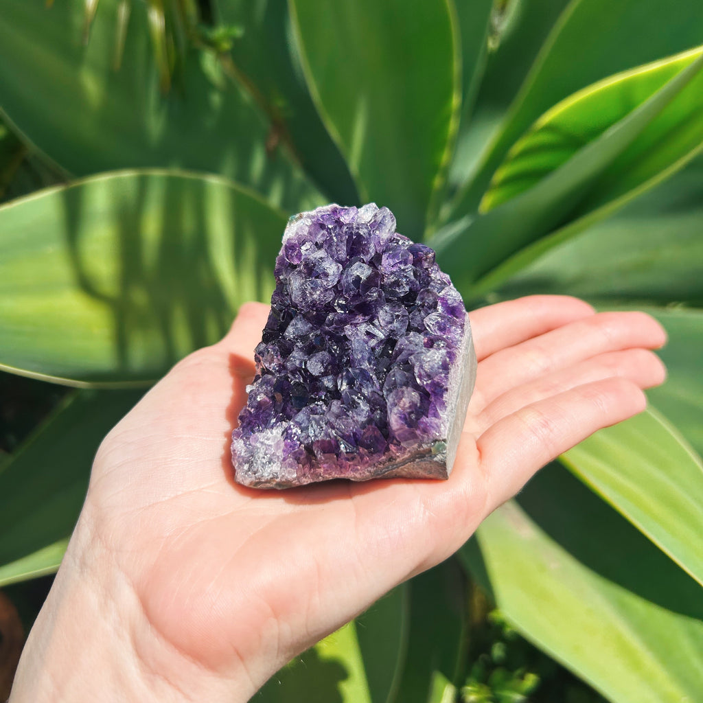 Standing Amethyst Cluster