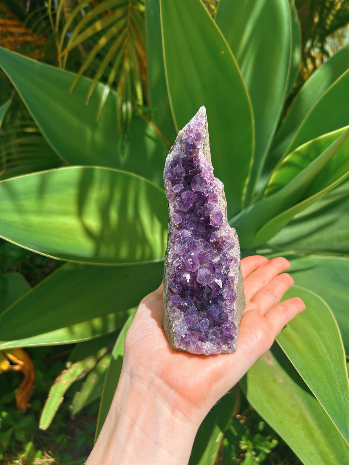 Standing Amethyst Cluster