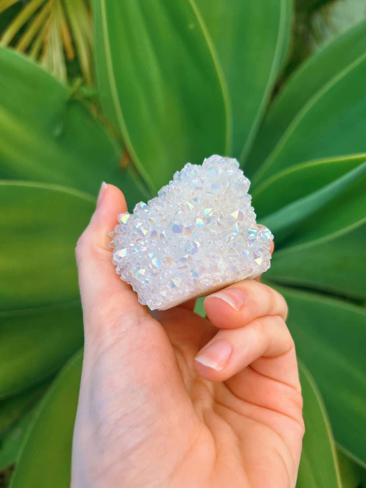 Angel Aura Cluster