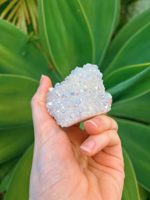 Angel Aura Cluster