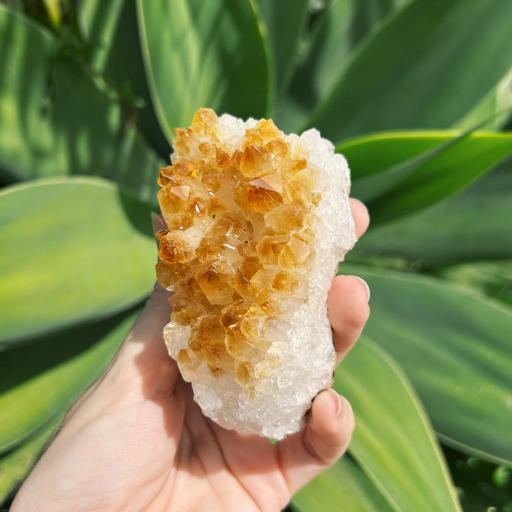 Citrine Cluster