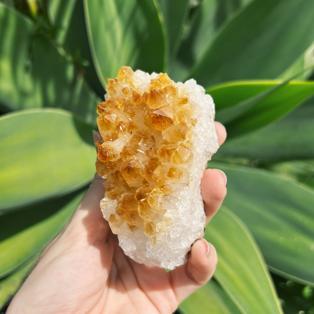 Citrine Cluster