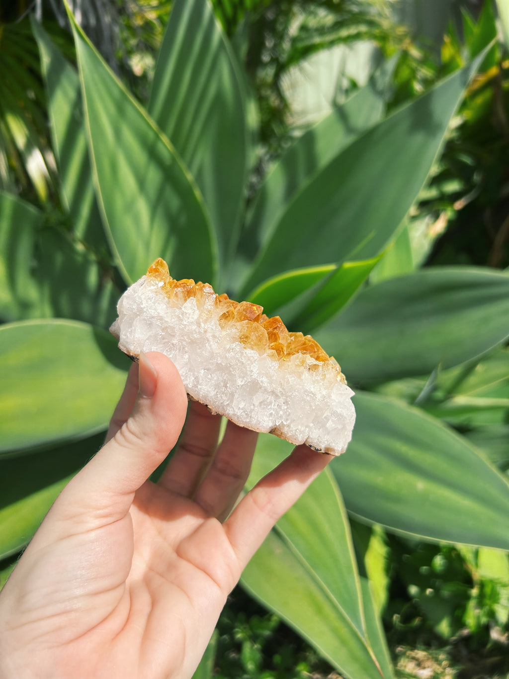 Citrine Cluster