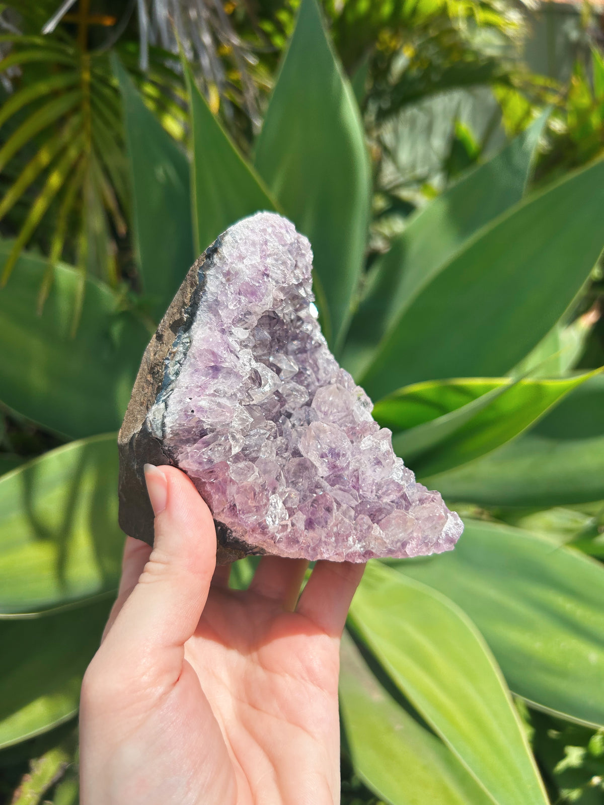 Large Standing Amethyst Cluster