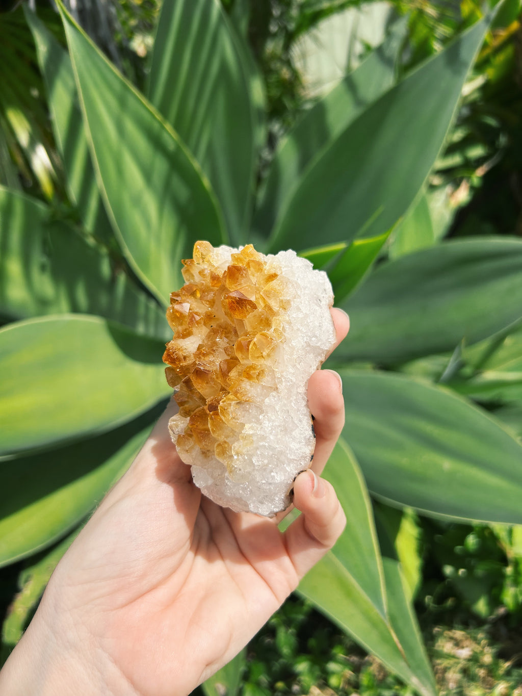 Citrine Cluster