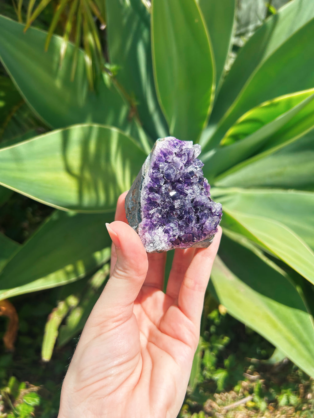 Standing Amethyst Cluster