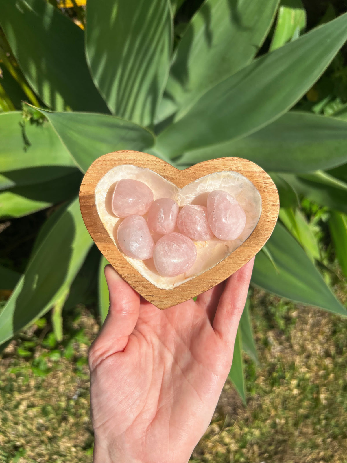 Rose Quartz Tumble Stone