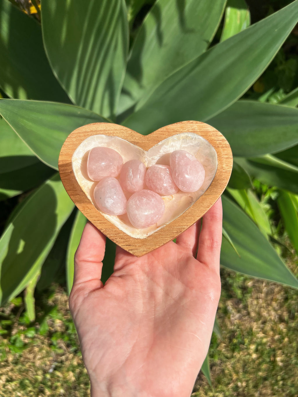 Rose Quartz Tumble Stone