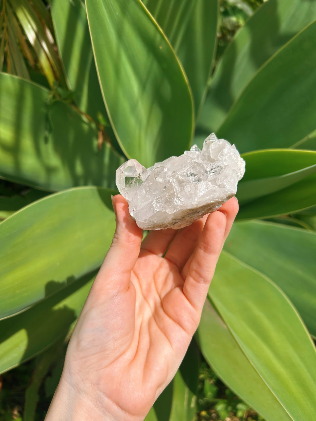 Clear Quartz Cluster