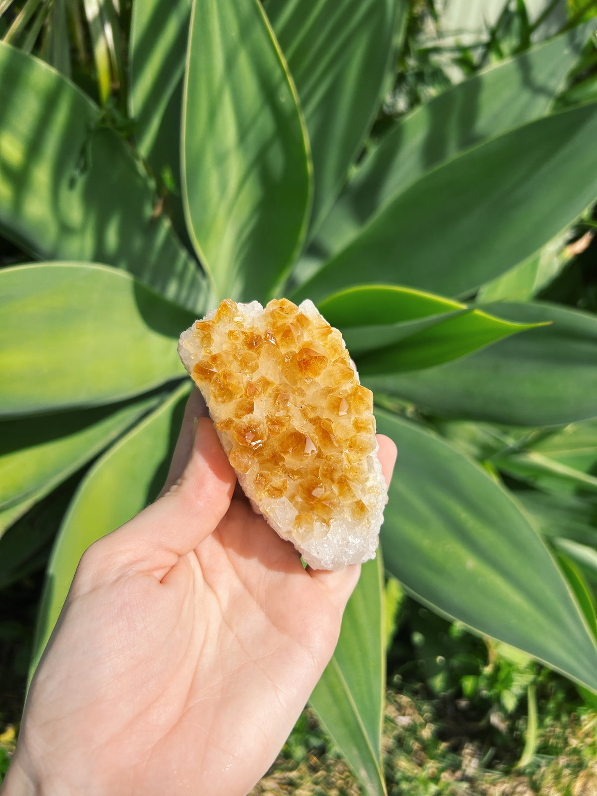 Citrine Cluster
