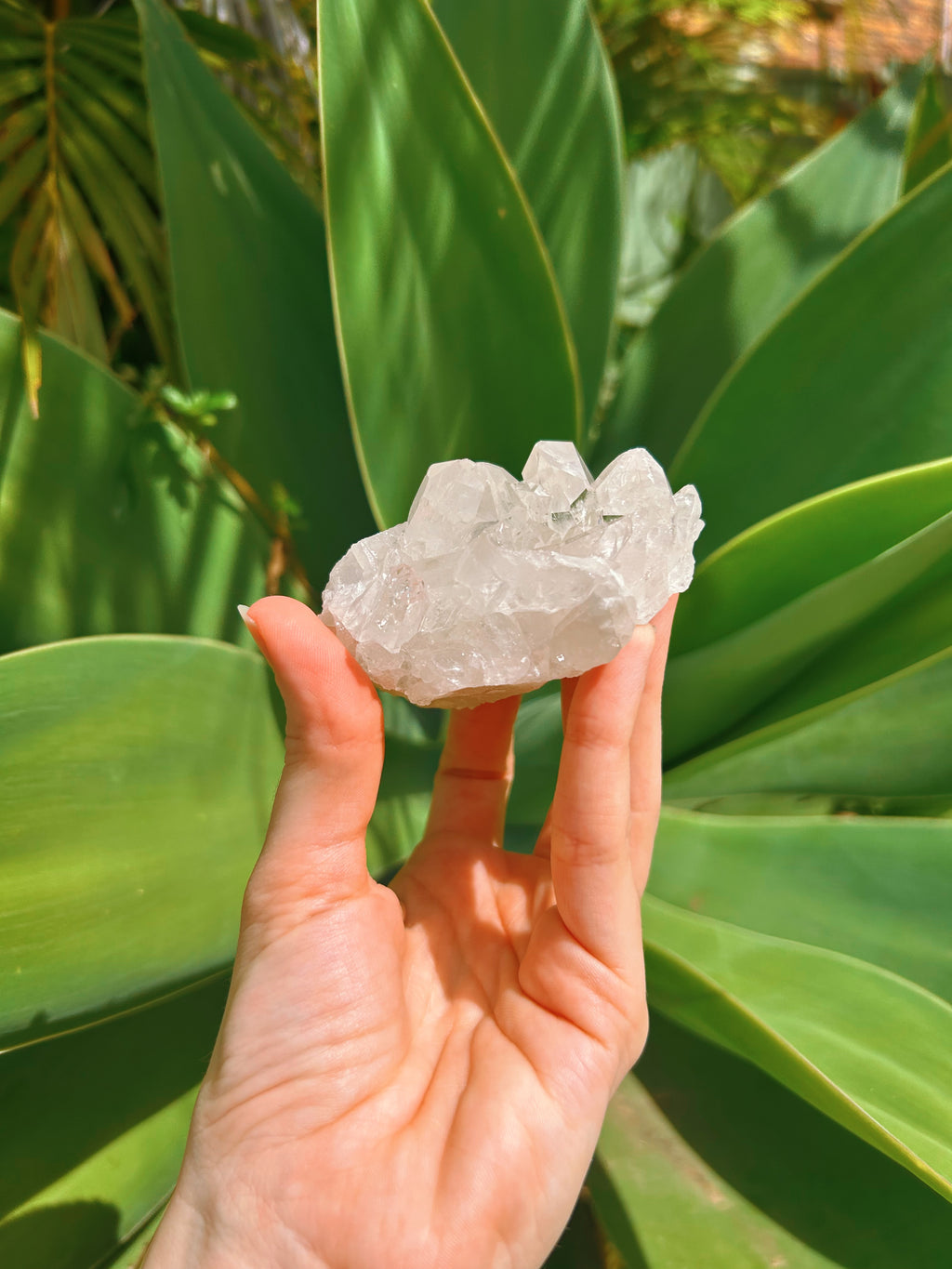 Clear Quartz Cluster