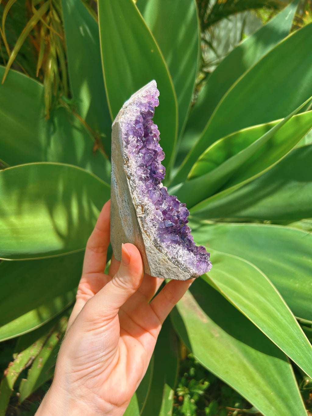 Standing Amethyst Cluster