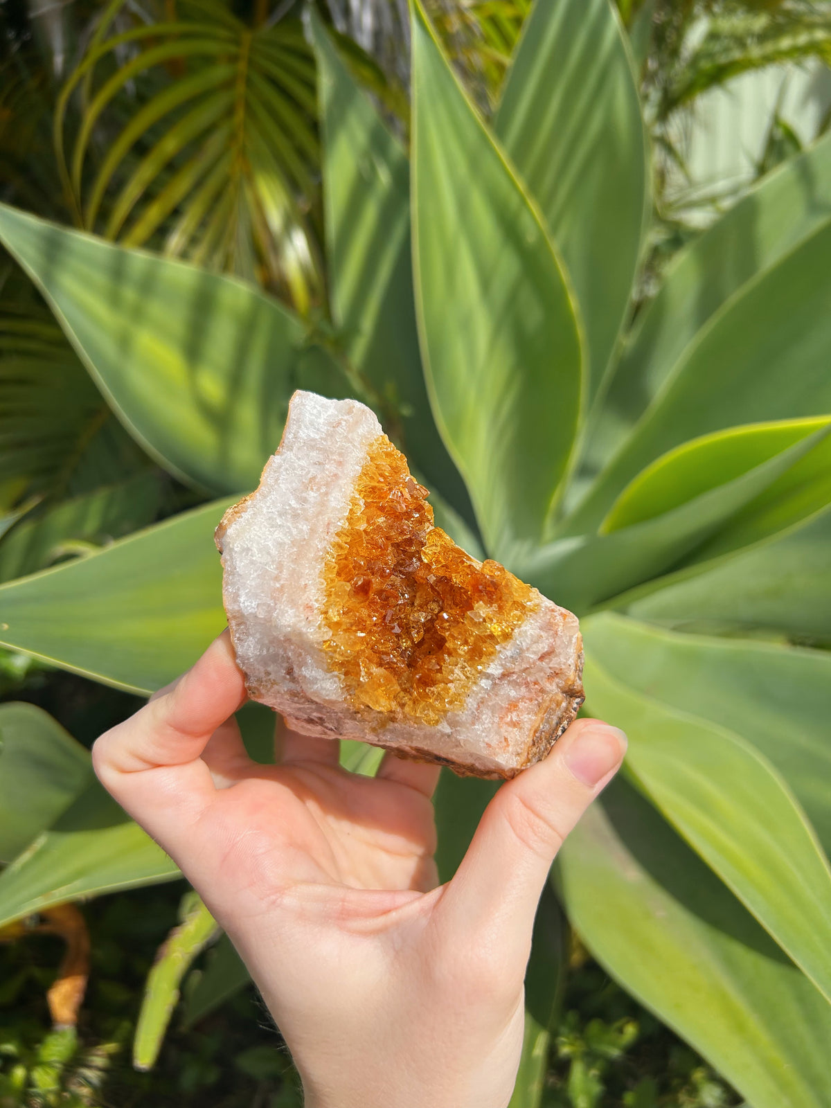 Citrine Cluster
