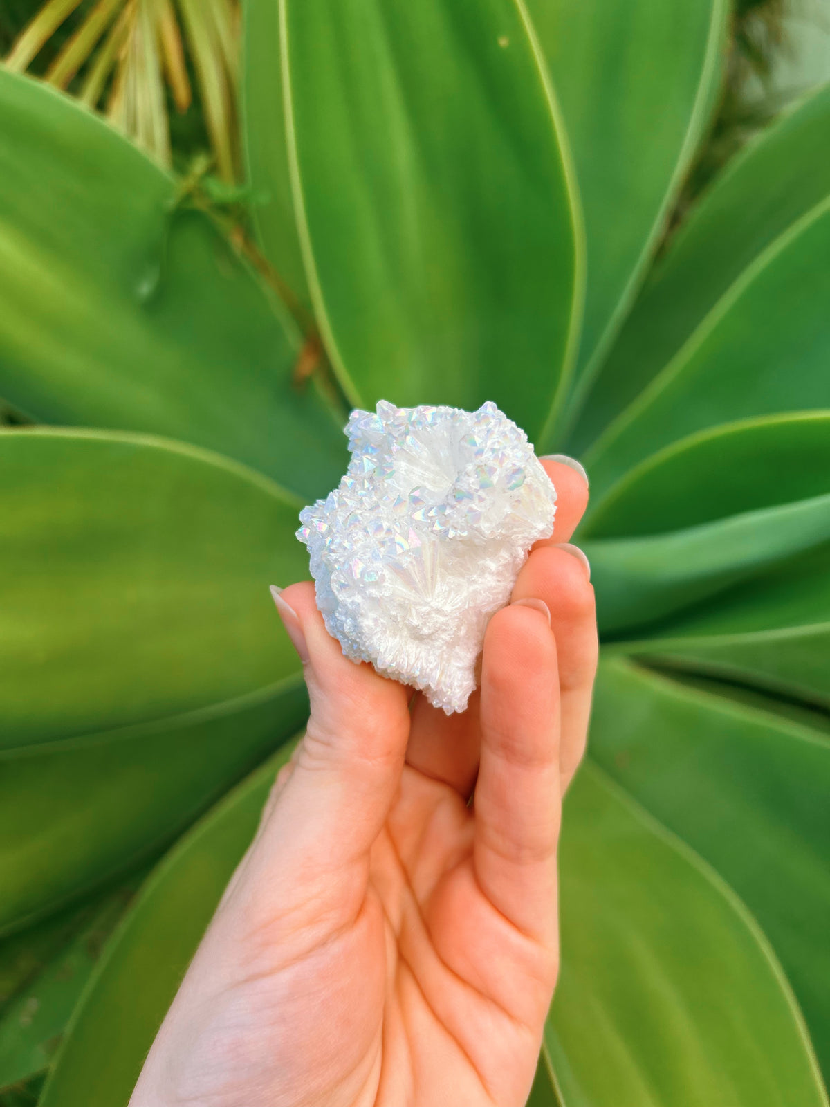 Angel Aura Cluster