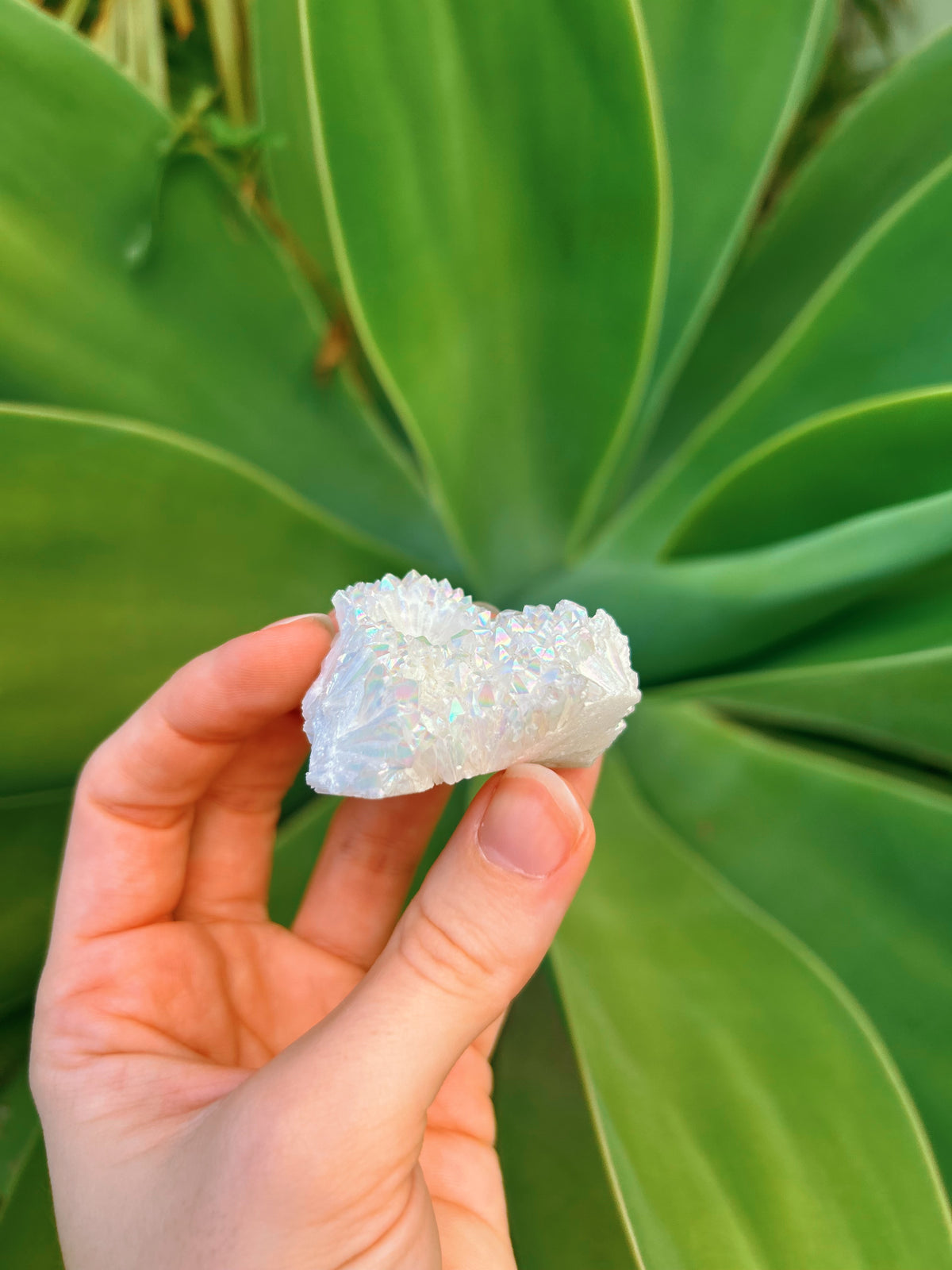 Angel Aura Cluster