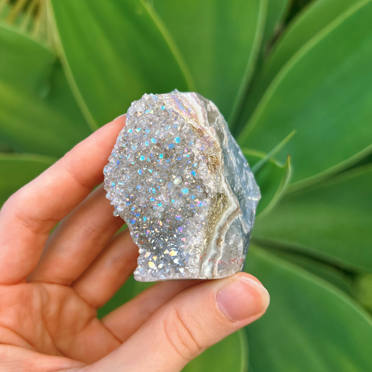 Aura Amethyst Cluster