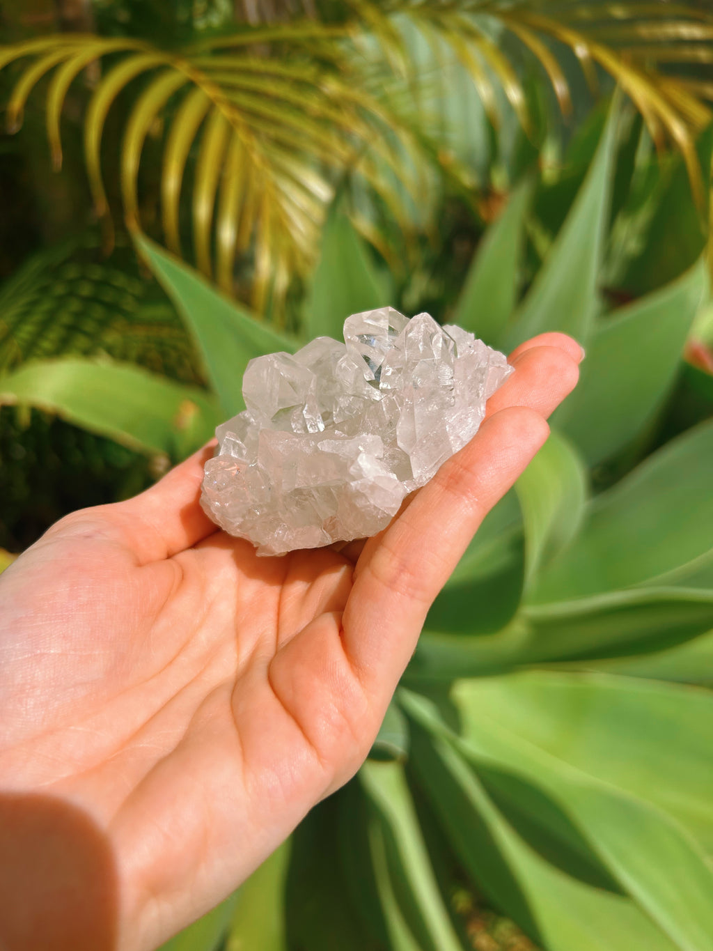 Clear Quartz Cluster