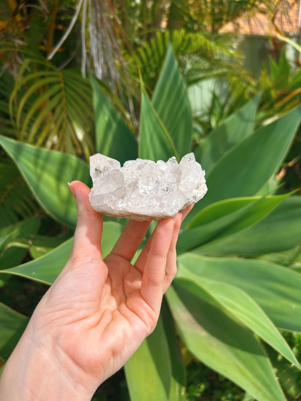 Clear Quartz Cluster