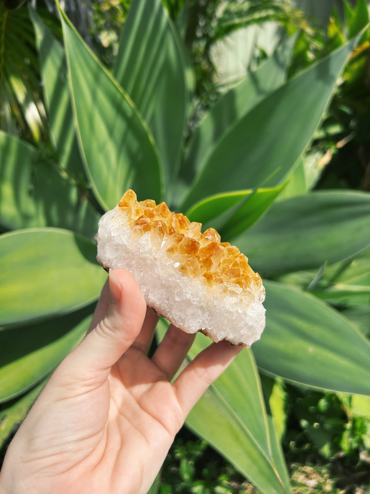 Citrine Cluster