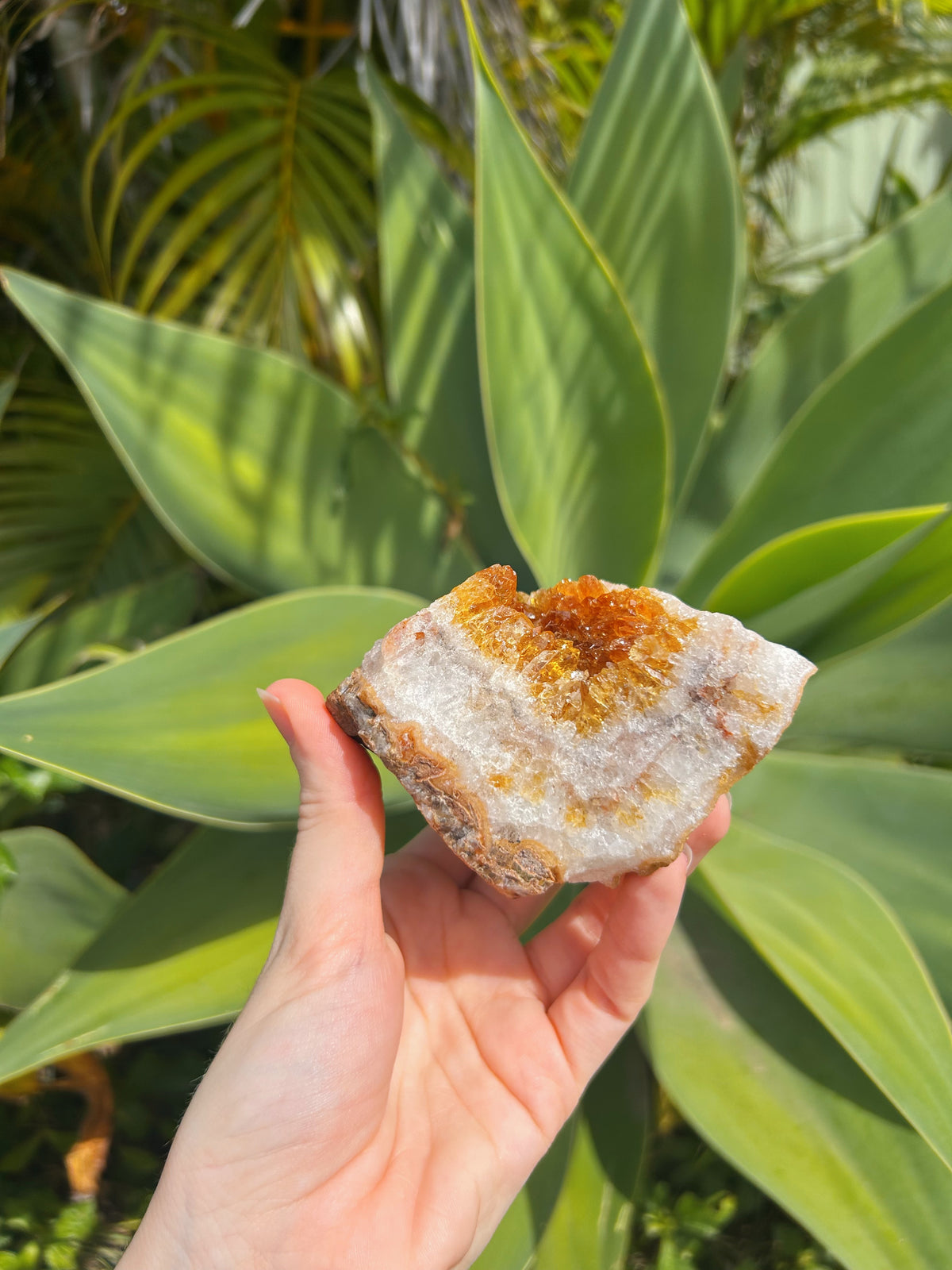 Citrine Cluster