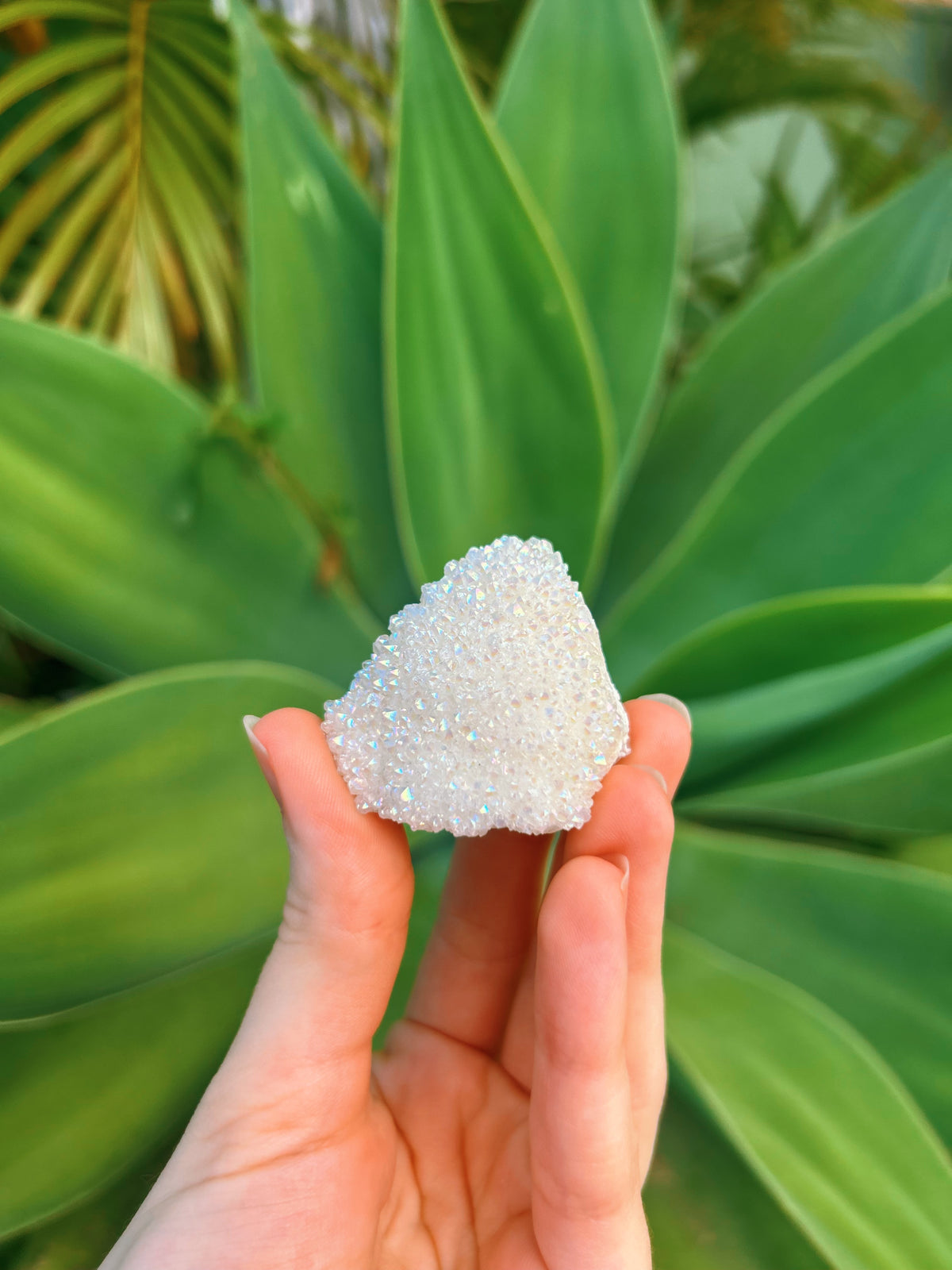 Angel Aura Cluster