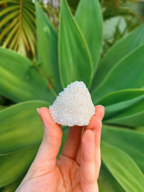 Angel Aura Cluster