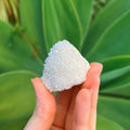 Angel Aura Cluster
