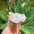 Clear Quartz Cluster