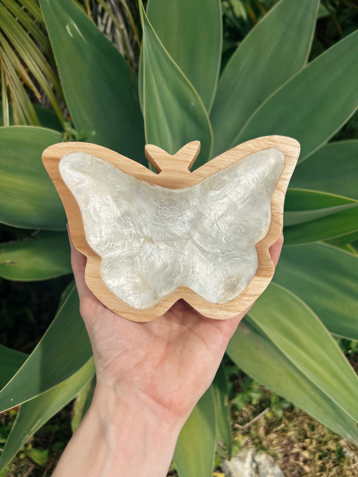 Large Butterfly Trinket Dish