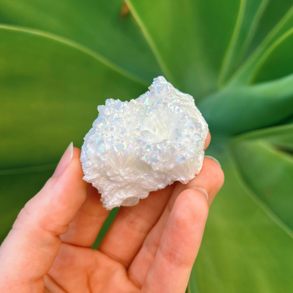 Angel Aura Cluster