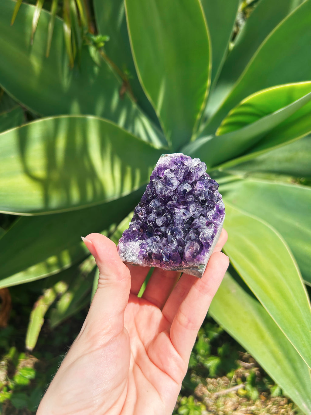 Standing Amethyst Cluster