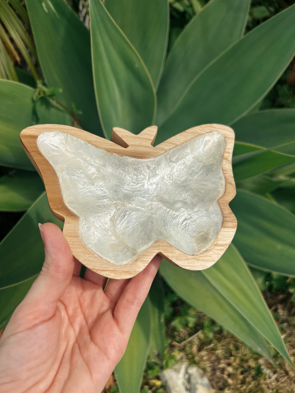 Large Butterfly Trinket Dish