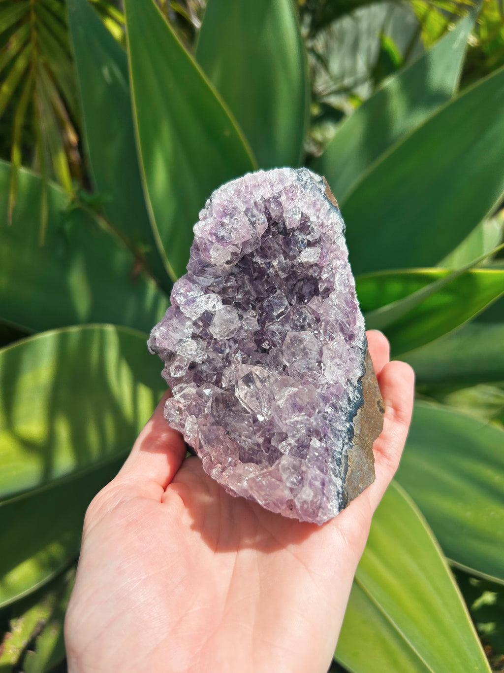 Large Standing Amethyst Cluster