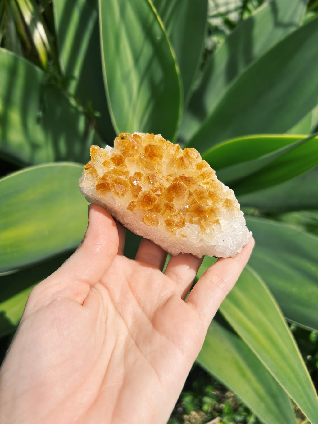 Citrine Cluster