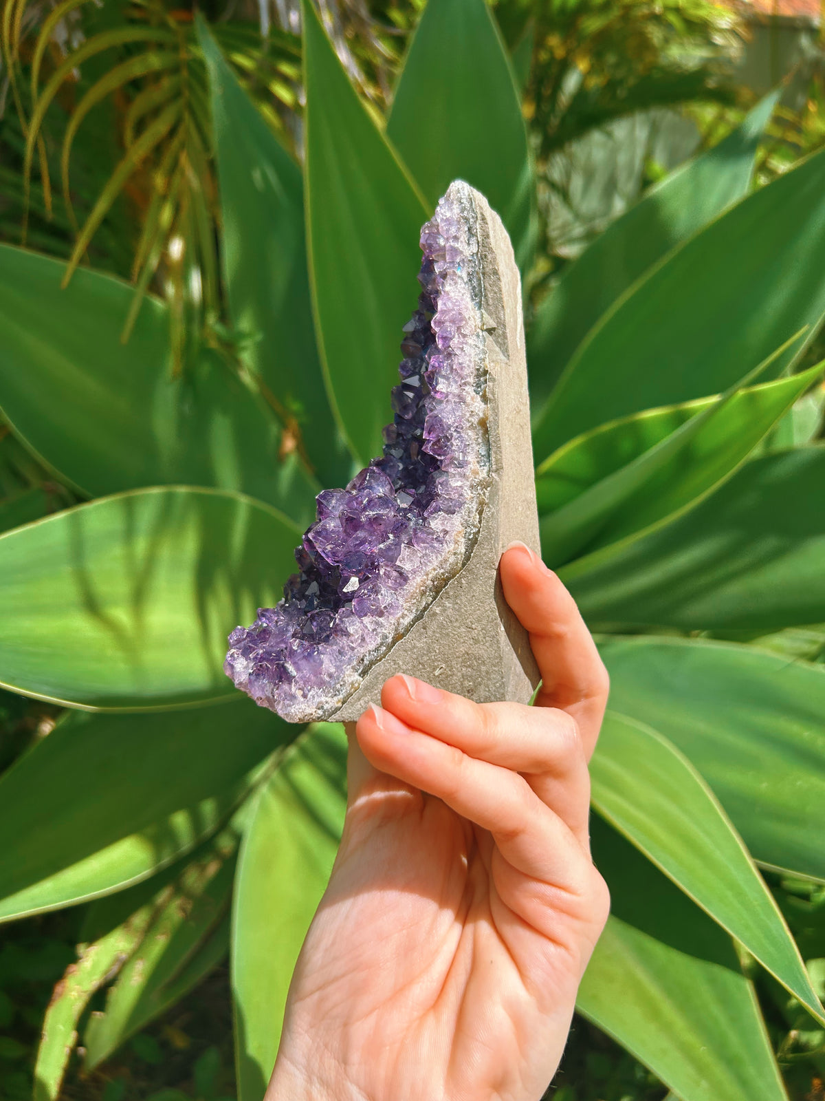 Standing Amethyst Cluster