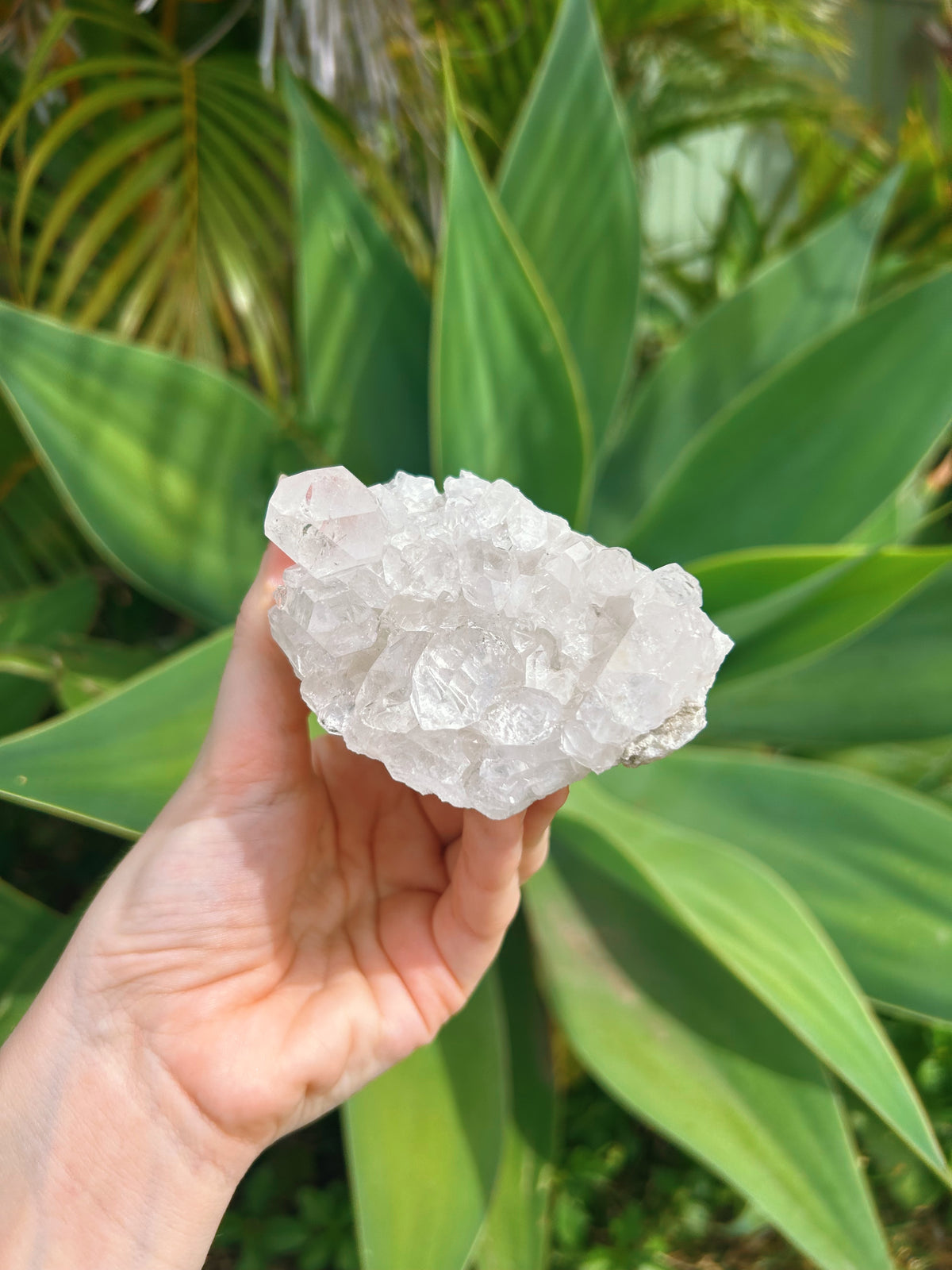 Clear Quartz Cluster