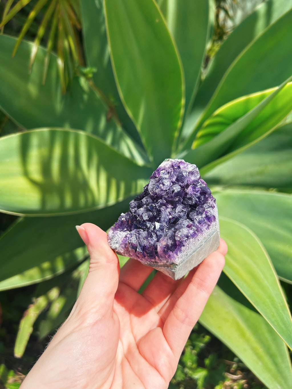 Standing Amethyst Cluster