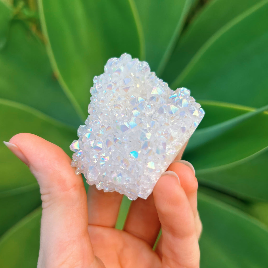 Angel Aura Cluster