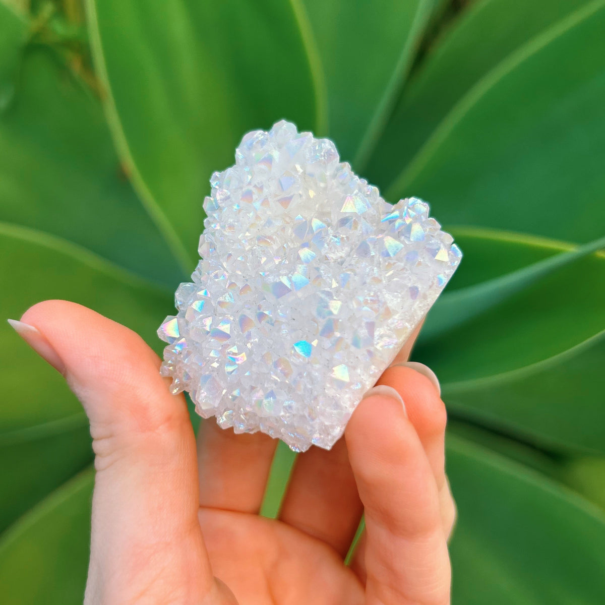 Angel Aura Cluster